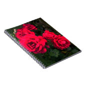 Carnet Rosarium de Red Roses (Côté Droit)