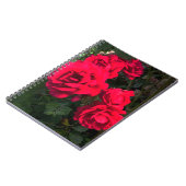 Carnet Rosarium de Red Roses (Côté gauche)