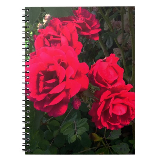 Carnet Rosarium de Red Roses (Devant)