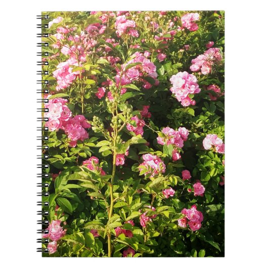Carnet Rosarium en fleurs (Devant)