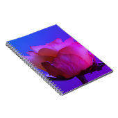 Carnet rose (Côté Droit)