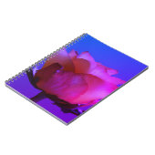 Carnet rose (Côté gauche)
