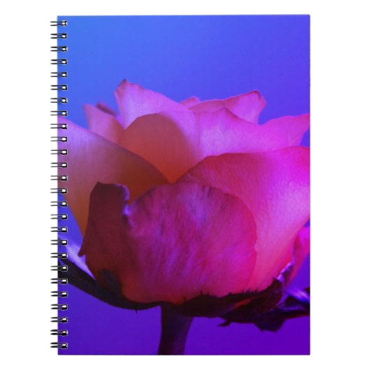 Carnet rose (Devant)