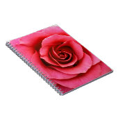 Carnet Rose (Côté Droit)