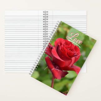 Carnet rose