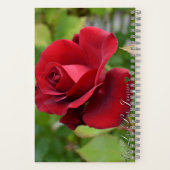 Carnet rose (Verso)