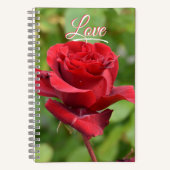 Carnet rose (Recto)