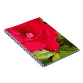 Carnet Rose (Côté Droit)