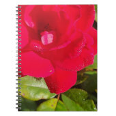 Carnet Rose (Devant)