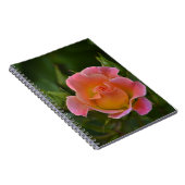 Carnet rose (Côté Droit)