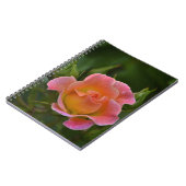 Carnet rose (Côté gauche)