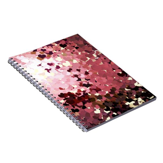 CARNET ROSE (Côté Droit)