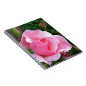 Carnet rose (Côté Droit)