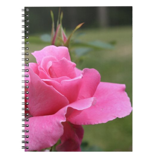 Carnet rose (Devant)