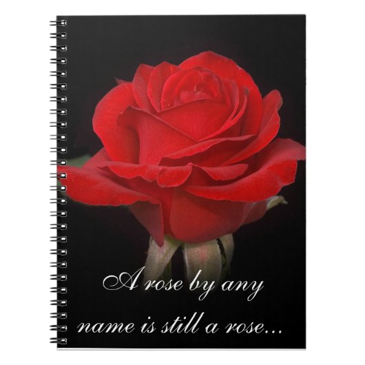 CARNET ROSE 2 (Devant)