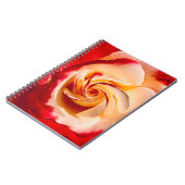 Carnet Rose à torsion (Côté gauche)