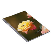 Carnet Rose and Bee Tote (Côté Droit)