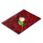 Carnet Rose blanc sur les pétales rouges (Côté gauche)