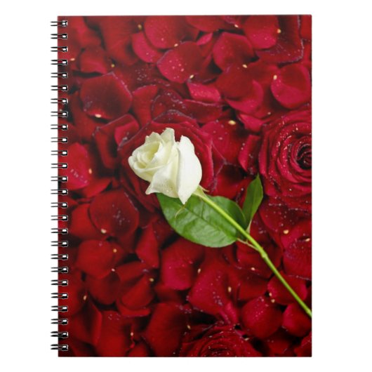 Carnet Rose blanc sur les pétales rouges (Devant)