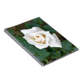 Carnet rose blanche (Côté Droit)