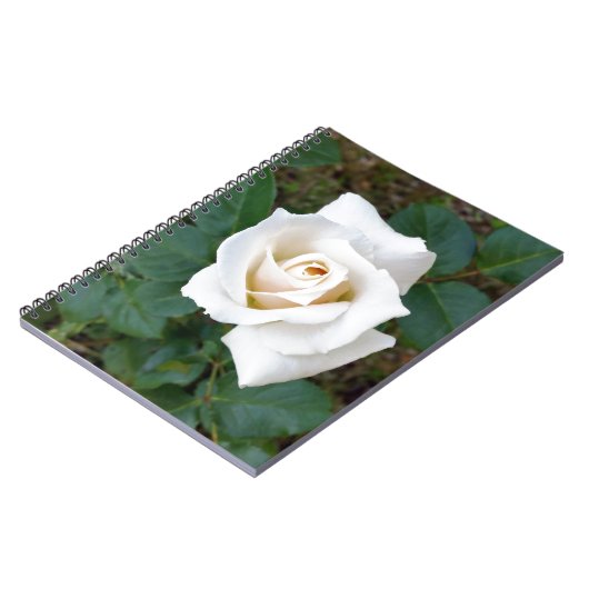 Carnet rose blanche (Côté gauche)