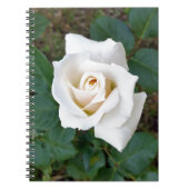 Carnet rose blanche (Devant)