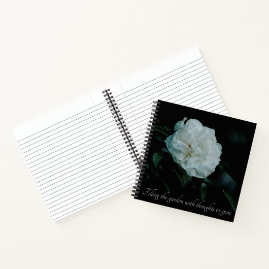 Carnet Rose blanche (Intérieur)