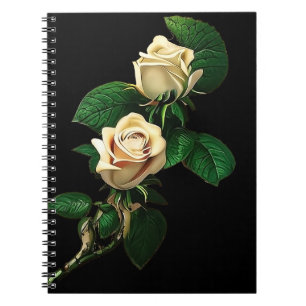 Carnet Rose blanche