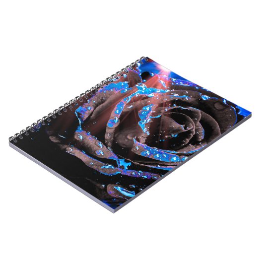 Carnet Rose bleu (Côté gauche)