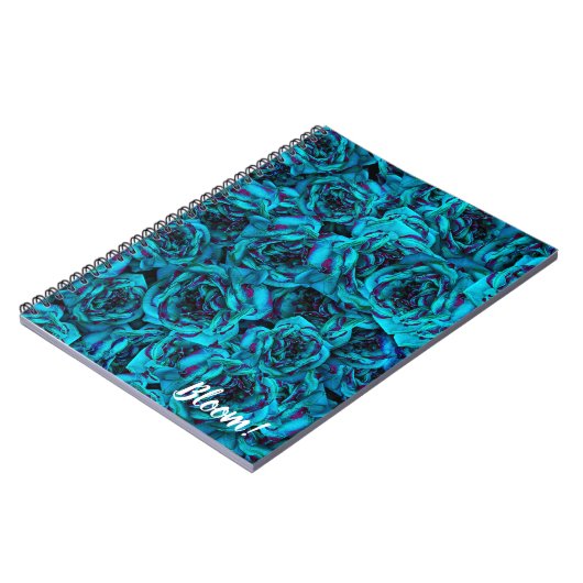 Carnet Rose bleu (Côté gauche)