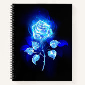 Carnet Rose bleu brûlant (Devant)