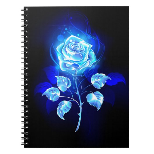 Carnet Rose bleu brûlant (Devant)