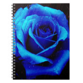 Carnet Rose bleu spectaculaire (Devant)