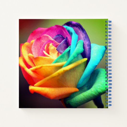 Carnet Rose coloré (Dos)