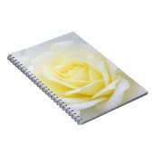 Carnet Rose crémeux (Côté Droit)