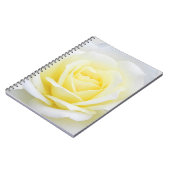 Carnet Rose crémeux (Côté gauche)