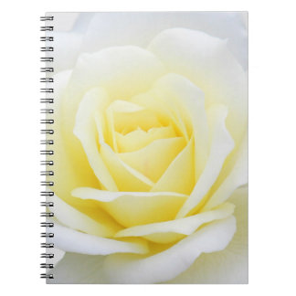 Carnet Rose crémeux