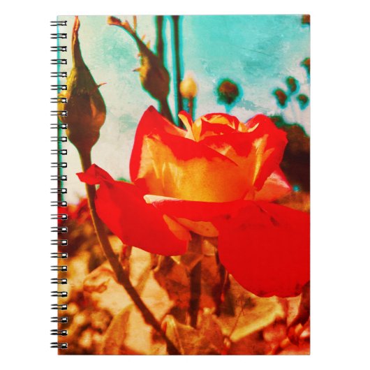 Carnet Rose d'alimentation de fleurs (Devant)