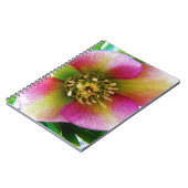 Carnet Rose de carême rose, (Côté gauche)