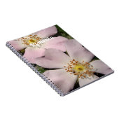 Carnet Rose de chien (Côté Droit)