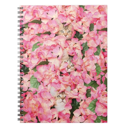 Carnet rose de collage de chaton de fleur (Devant)