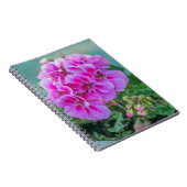 Carnet rose de géraniums (Côté Droit)