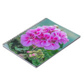 Carnet rose de géraniums (Côté gauche)