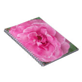 Carnet Rose de jardin rose (Côté Droit)