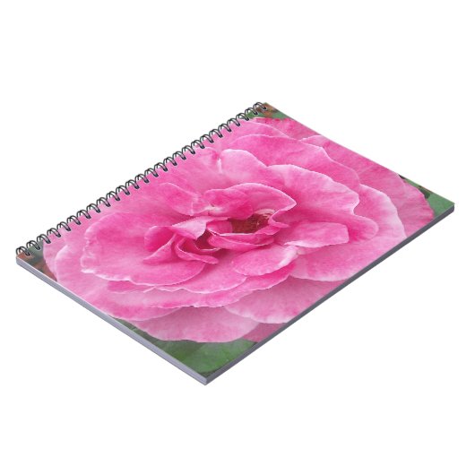Carnet Rose de jardin rose (Côté gauche)