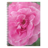 Carnet Rose de jardin rose (Devant)