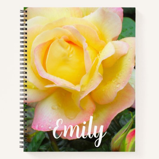 Carnet Rose de la paix (Devant)