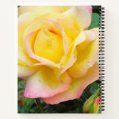 Carnet Rose de la paix (Dos)