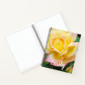 Carnet Rose de la paix (Intérieur)