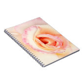 Carnet Rose de lait (Côté Droit)